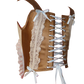 Teddy Corset